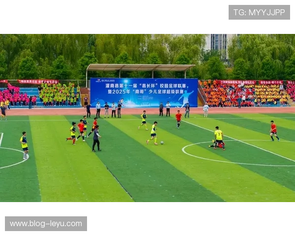绿茵争锋即将上演 谁将笑到最后引爆全场热血期待